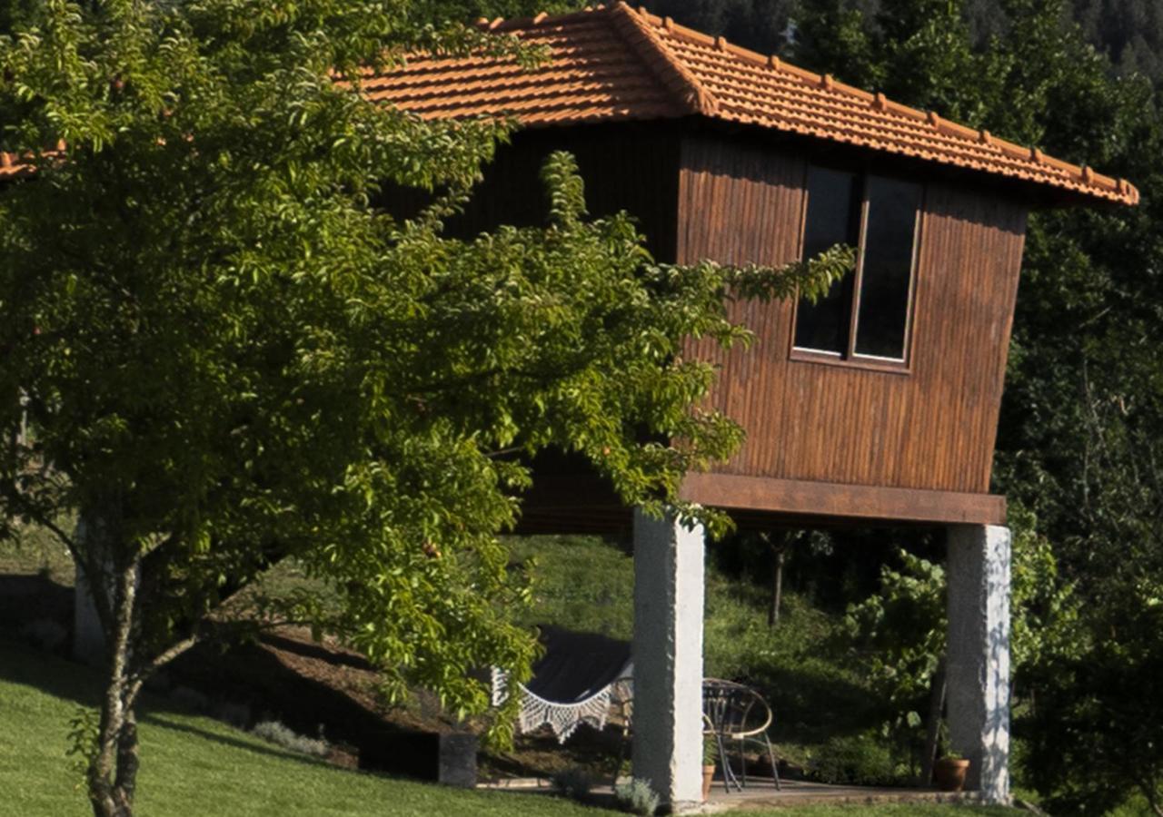 Cimo Da Vinha - Nature Spot Castelo de Paiva Dış mekan fotoğraf